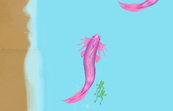 召唤神龙怎么过关？召唤神龙变成神龙攻略[多图]