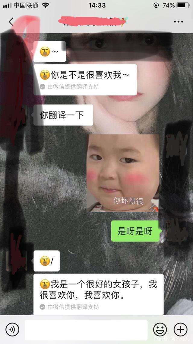 微信表情翻译表白代码是什么？微信表情翻译表白代码分享[多图]