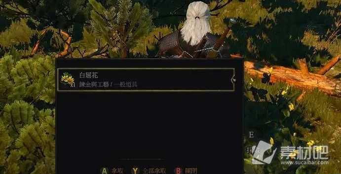 《巫师3》次世代版白屈花获取方法介绍