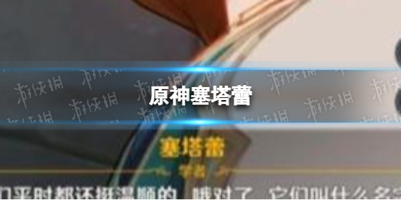 《原神》塞塔蕾 塞塔蕾问题选择