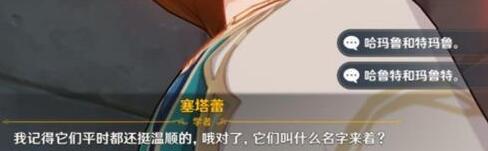 《原神》塞塔蕾 塞塔蕾问题选择