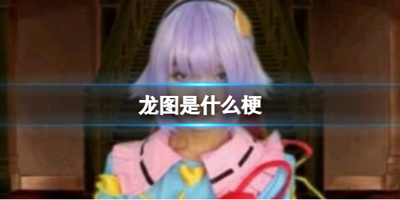 龙女士是谁 龙女士表情包大全