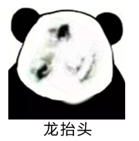 龙女士是谁 龙女士表情包大全