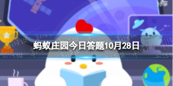 属于黄山四绝景观的是云海还是毛峰