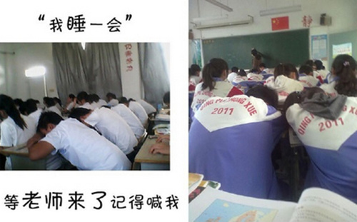 《新剑与魔法》5人坐骑 引美女解说感叹岁月[多图]