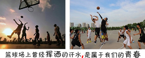 《新剑与魔法》5人坐骑 引美女解说感叹岁月[多图]