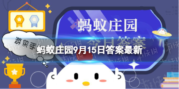 小鸡宝宝考考你猜一猜:我们平时吃的菠萝是长在