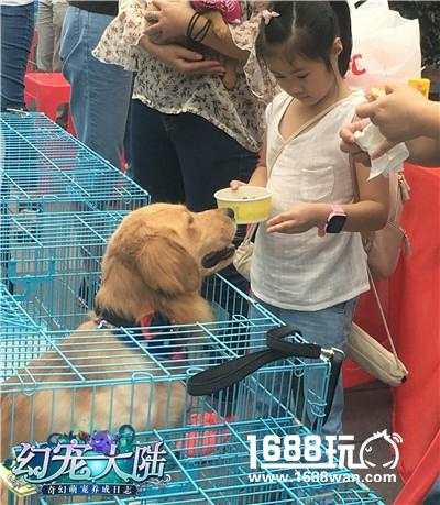 执子之爪 《幻宠大陆》奇缘萌宠公益行[多图]