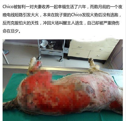 bulubulu趴：女票说，每次都差一点点[多图]