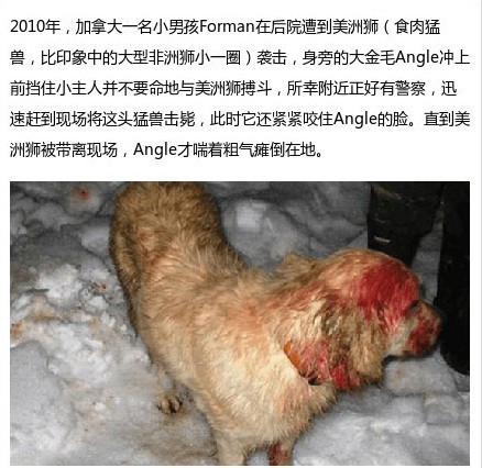 bulubulu趴：女票说，每次都差一点点[多图]