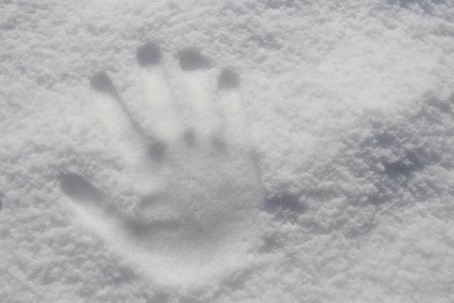 今日小雪怎么样发朋友圈？2020小雪经典文案合集[多图]