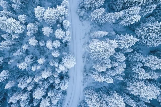 今日小雪怎么样发朋友圈？2020小雪经典文案合集[多图]