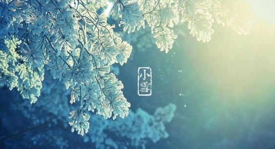 今日小雪怎么样发朋友圈？2020小雪经典文案合集[多图]