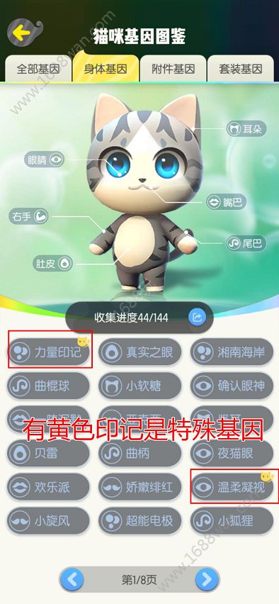 一起来捉妖专属猫基因效果有哪些 专属猫的基因解析[多图]