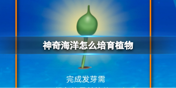 神奇海洋怎么培育植物 神奇海洋培育植物方法介绍