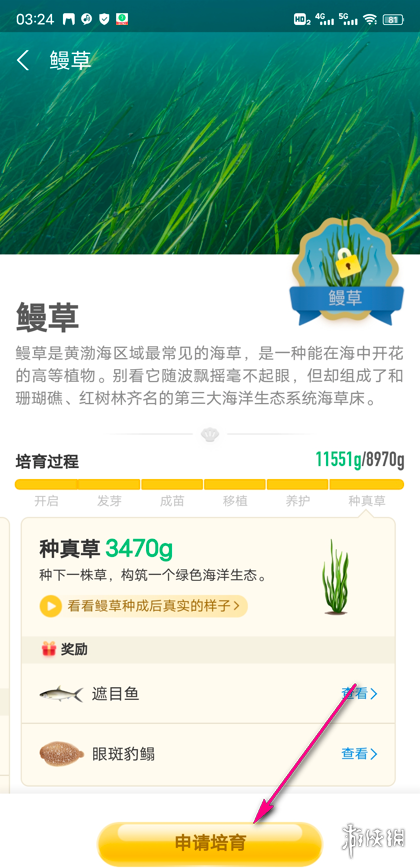 神奇海洋怎么培育植物 神奇海洋培育植物方法介绍