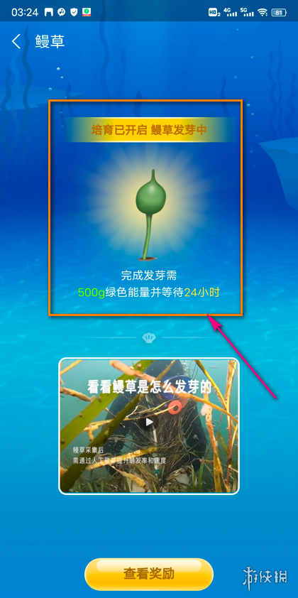 神奇海洋怎么培育植物 神奇海洋培育植物方法介绍