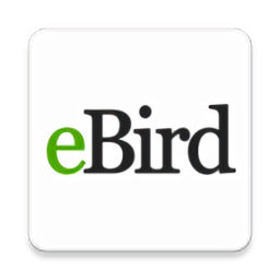 eBird安卓手机版app