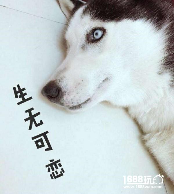 王者荣耀主播立flag要谨慎 虎牙曹操尴尬强行输出“第一”[多图]