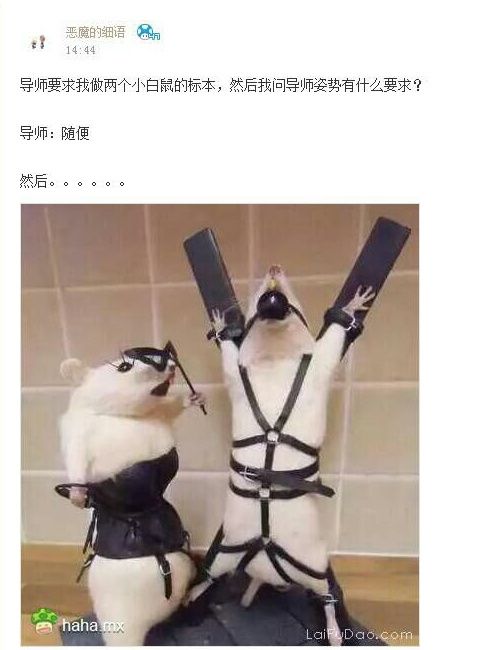 实力卖队友 节假日结束的爆笑囧图[多图]