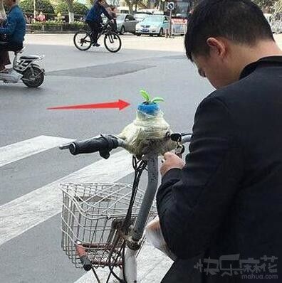 实力卖队友 节假日结束的爆笑囧图[多图]