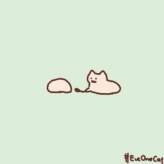 抖音EveOneCat怎么拍？EveOneCat特效玩法介绍[多图]