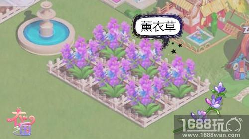 最美の花卉《衣之国》高阶服饰花朵大赏[多图]