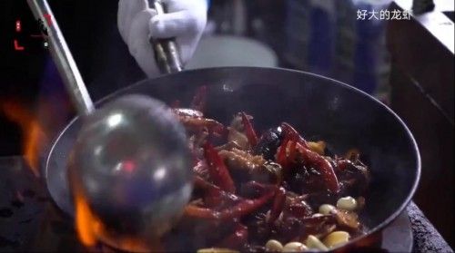 宝藏中国直播每天都有吗？宝藏中国直播哪些地方？[多图]