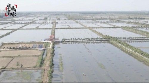 宝藏中国直播每天都有吗？宝藏中国直播哪些地方？[多图]