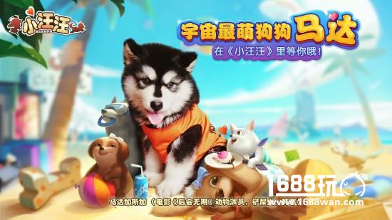 韩寒爱宠马达卖萌推荐《小汪汪》手游可爱来袭[多图]