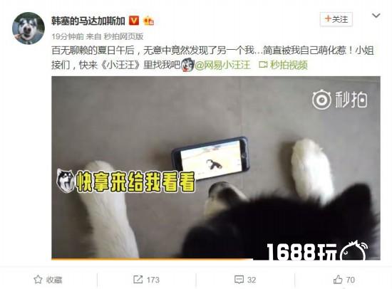 韩寒爱宠马达卖萌推荐《小汪汪》手游可爱来袭[多图]