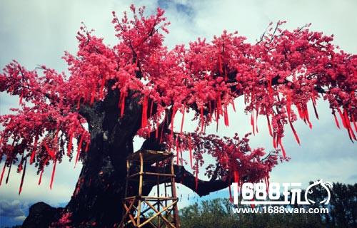 十年沉淀 厚积薄发《三生三世十里桃花》手游 带你游历仙侠世界[多图]