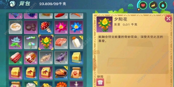 创造与魔法夕阳花位置在哪？苍穹幻龙饲料位置大全[多图]