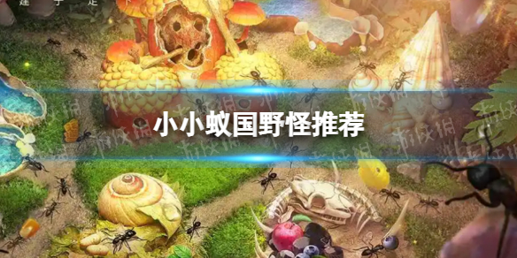 《小小蚁国》野怪推荐 小小蚁国野怪哪些值得推荐