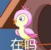 七夕布谷鸟表情包大全 全套表情包及头像分享[多图]