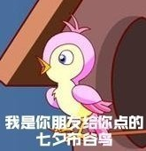 七夕布谷鸟表情包大全 全套表情包及头像分享[多图]