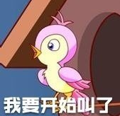 七夕布谷鸟表情包大全 全套表情包及头像分享[多图]