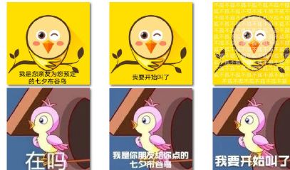 七夕布谷鸟表情包大全 全套表情包及头像分享[多图]