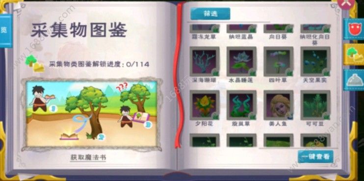 创造与魔法苍穹幻龙饲料是什么？苍穹幻龙饲料介绍[多图]