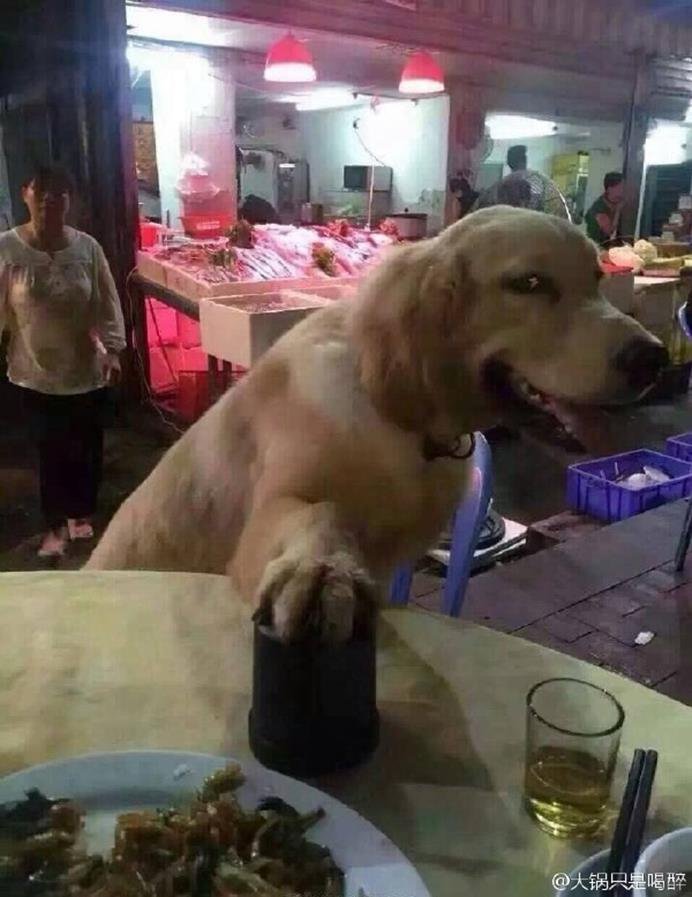 灵魂画手 出海捕带鱼的搞笑囧图[多图]