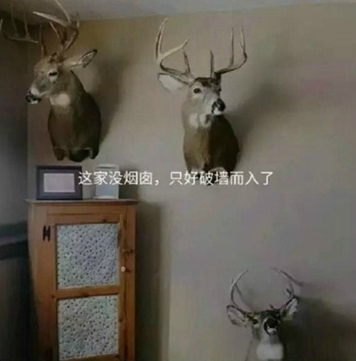 bulubulu趴：今天谁来陪我睡觉[多图]
