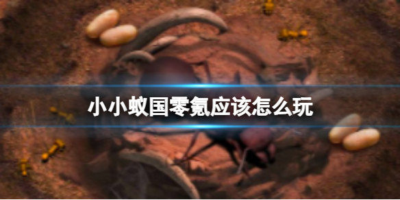 《小小蚁国》零氪应该怎么玩 氪金大佬应该怎么玩