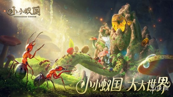 《小小蚁国》零氪应该怎么玩 氪金大佬应该怎么玩