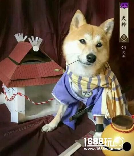 土狗翻身!阴阳师犬神阵容搭配推荐[多图]