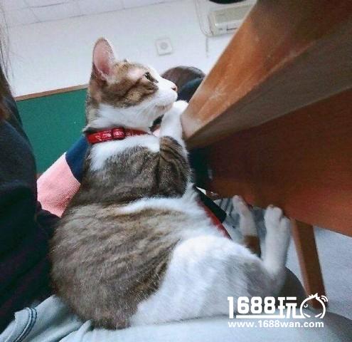 我不拔插头，我关电闸可以吗？ 搞笑囧图[多图]