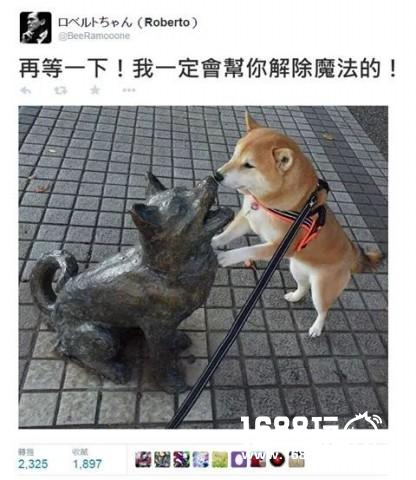 对于这个高度，我已经晕倒了 搞笑囧图[多图]