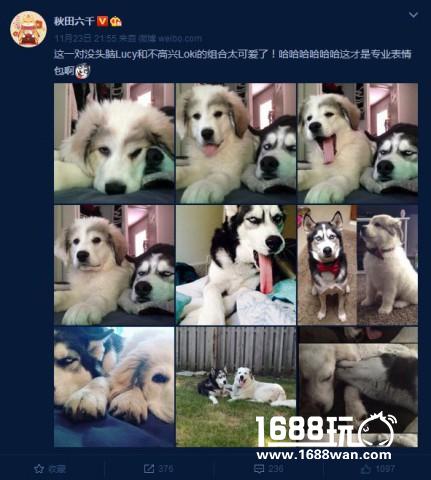对于这个高度，我已经晕倒了 搞笑囧图[多图]