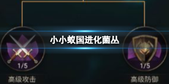 《小小蚁国》进化菌丛 小小蚁国如何进化菌群