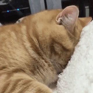 yydXXL是什么意思？yydXXL含义解析[多图]