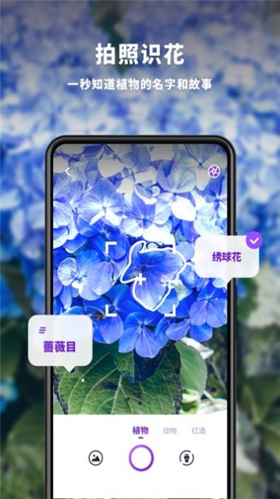 趣扫手机版